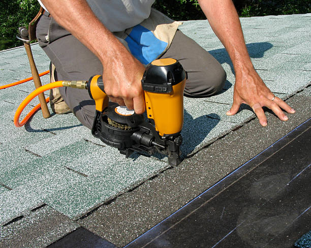 Best Metal Roofing Contractor  in Union City, MI