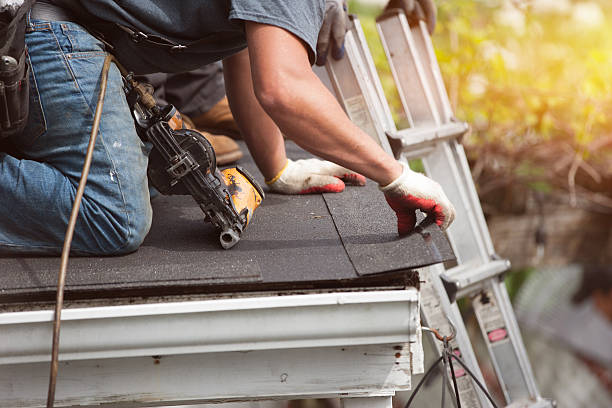 Best Roof Gutter Cleaning  in Union City, MI