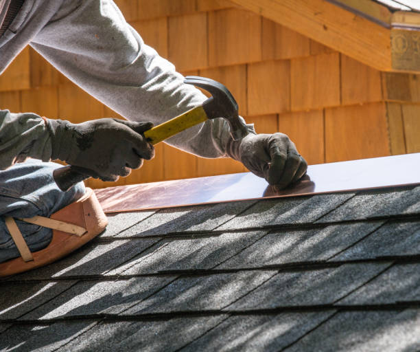 Best Shingle Roofing Installation  in Union City, MI